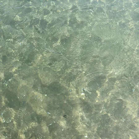 Paradiso Fronte Mare *