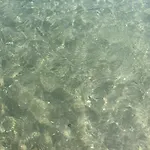 Paradiso Fronte Mare *