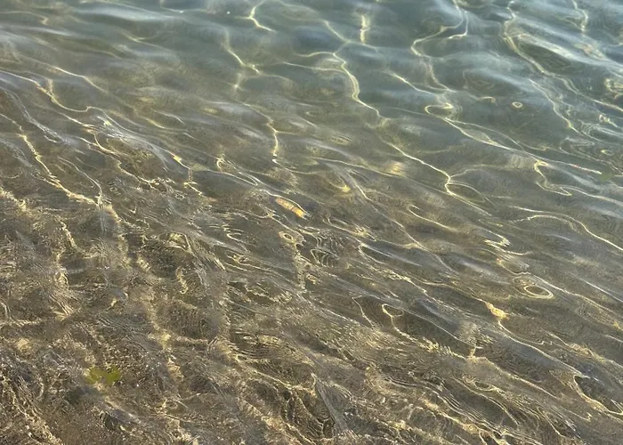 Paradiso Fronte Mare *